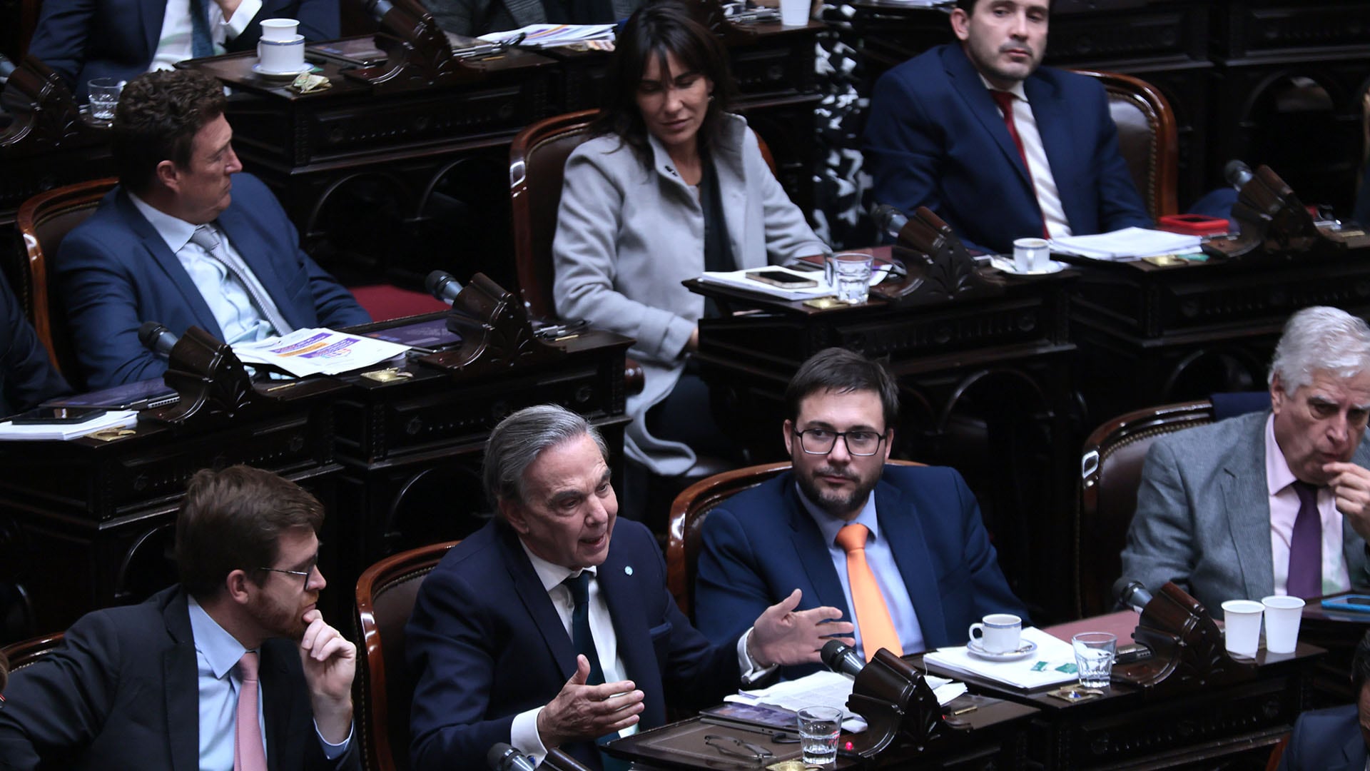 Ley bases en diputados - 27.06.2024 - Recinto