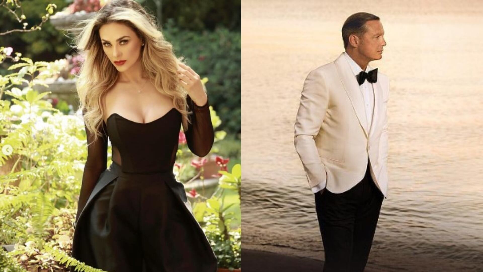 Aracely Arámbula Luis Miguel