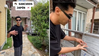 Tiktoker mexicano se vuelve viral al revelar el ingenioso método japonés para ahuyentar mosquitos