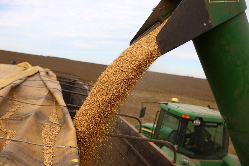 CAME asegura que si se suma valor agregado a los productos se reduciría la dependencia a los precios internacionales de las materias primas (REUTERS/Matías Baglietto/)