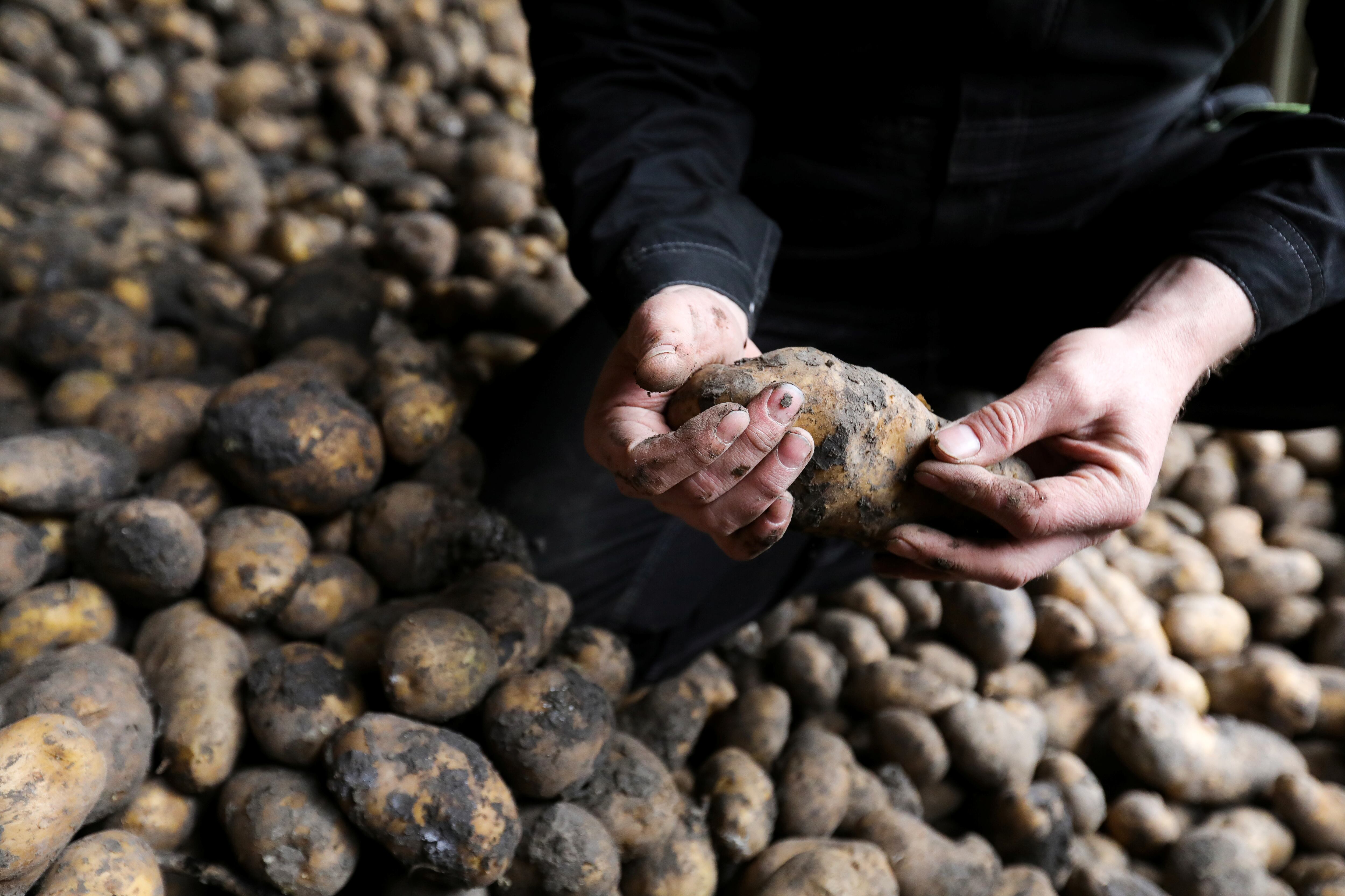 Las fechas de consumo preferente no siempre reflejan la comestibilidad real de los alimentos (REUTERS)