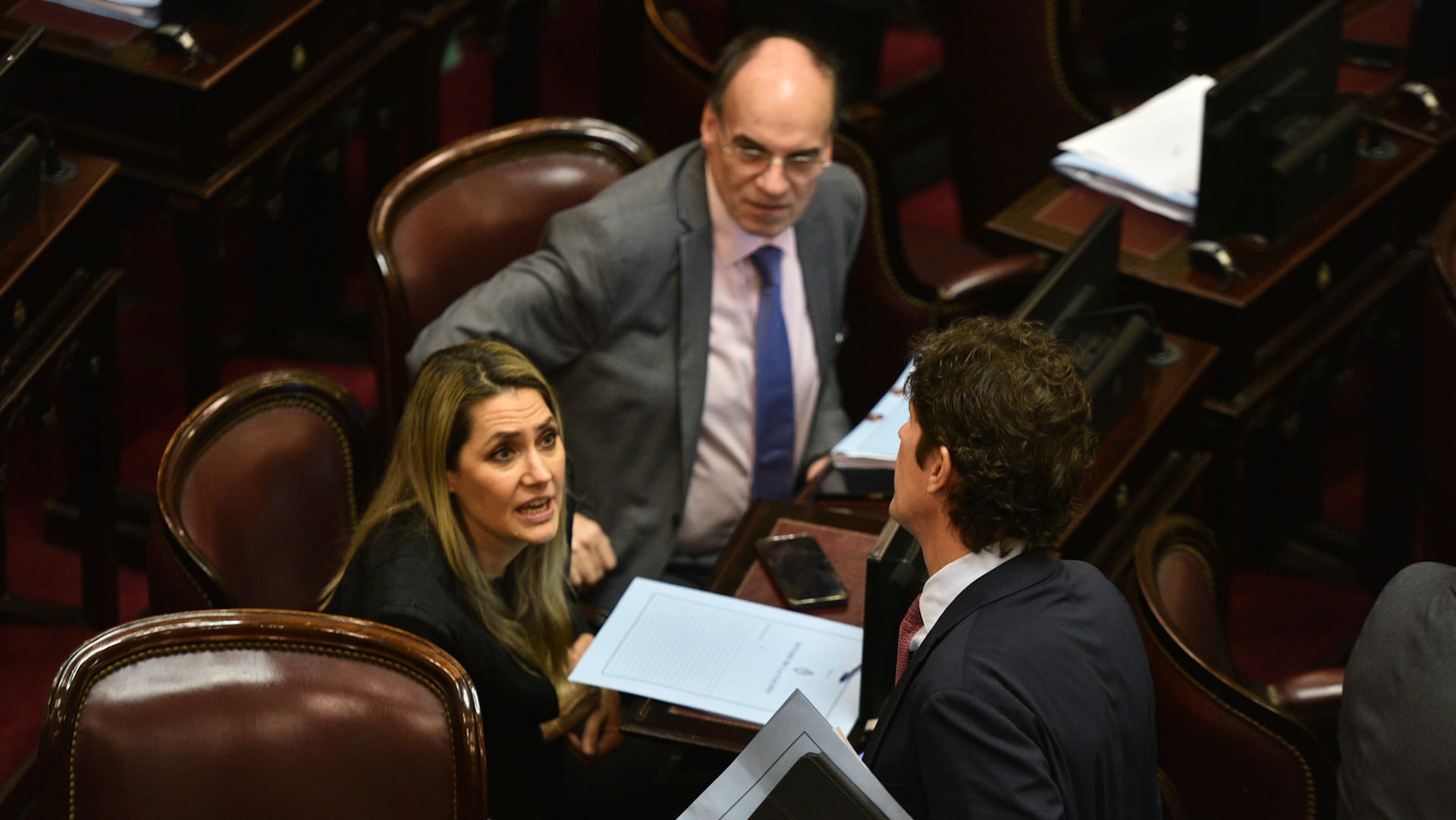 Debate Ley Bases en el Senado - 12.06.2024