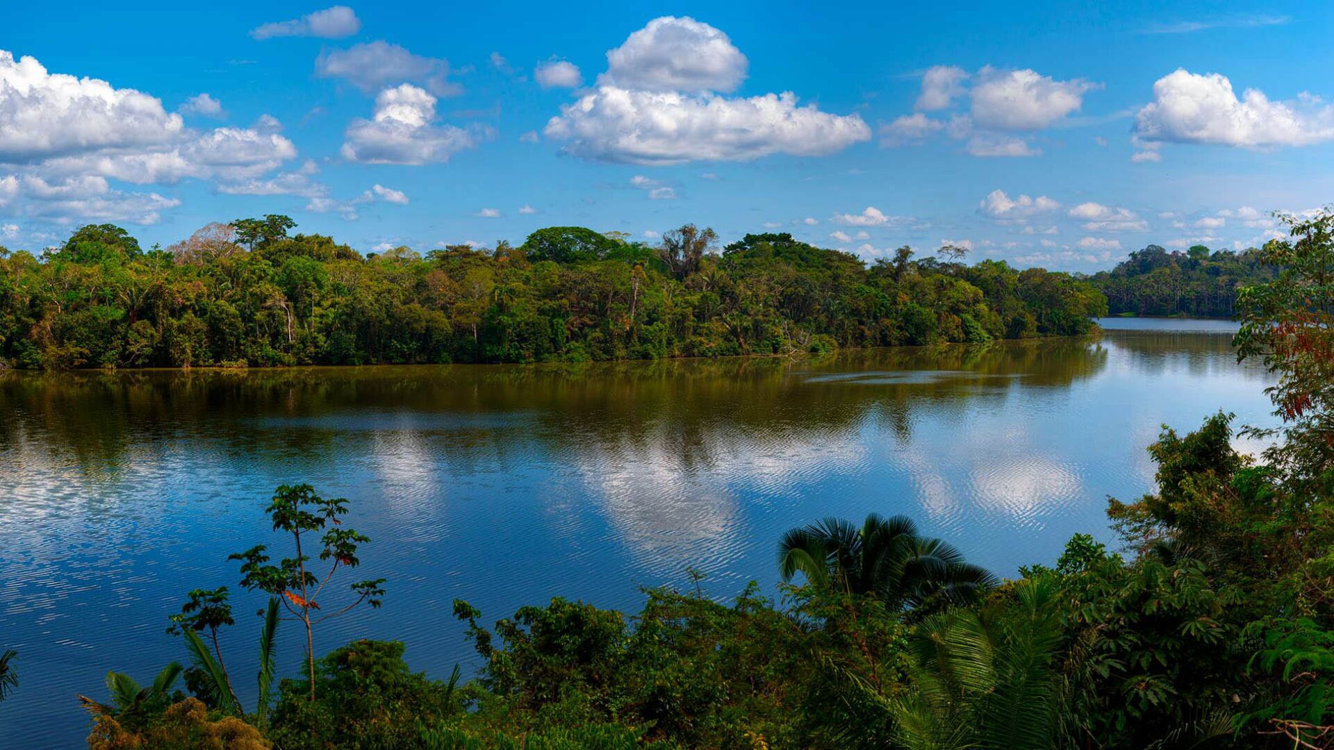 Reserva Nacional Tambopata
Foto: peru.travel