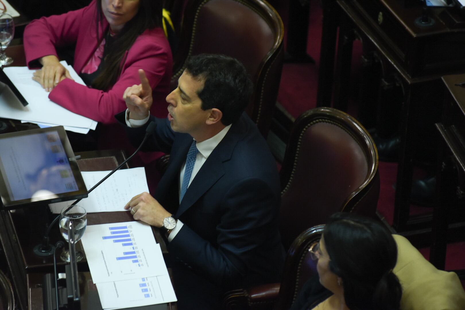 Debate Ley Bases en el Senado - 12.06.2024