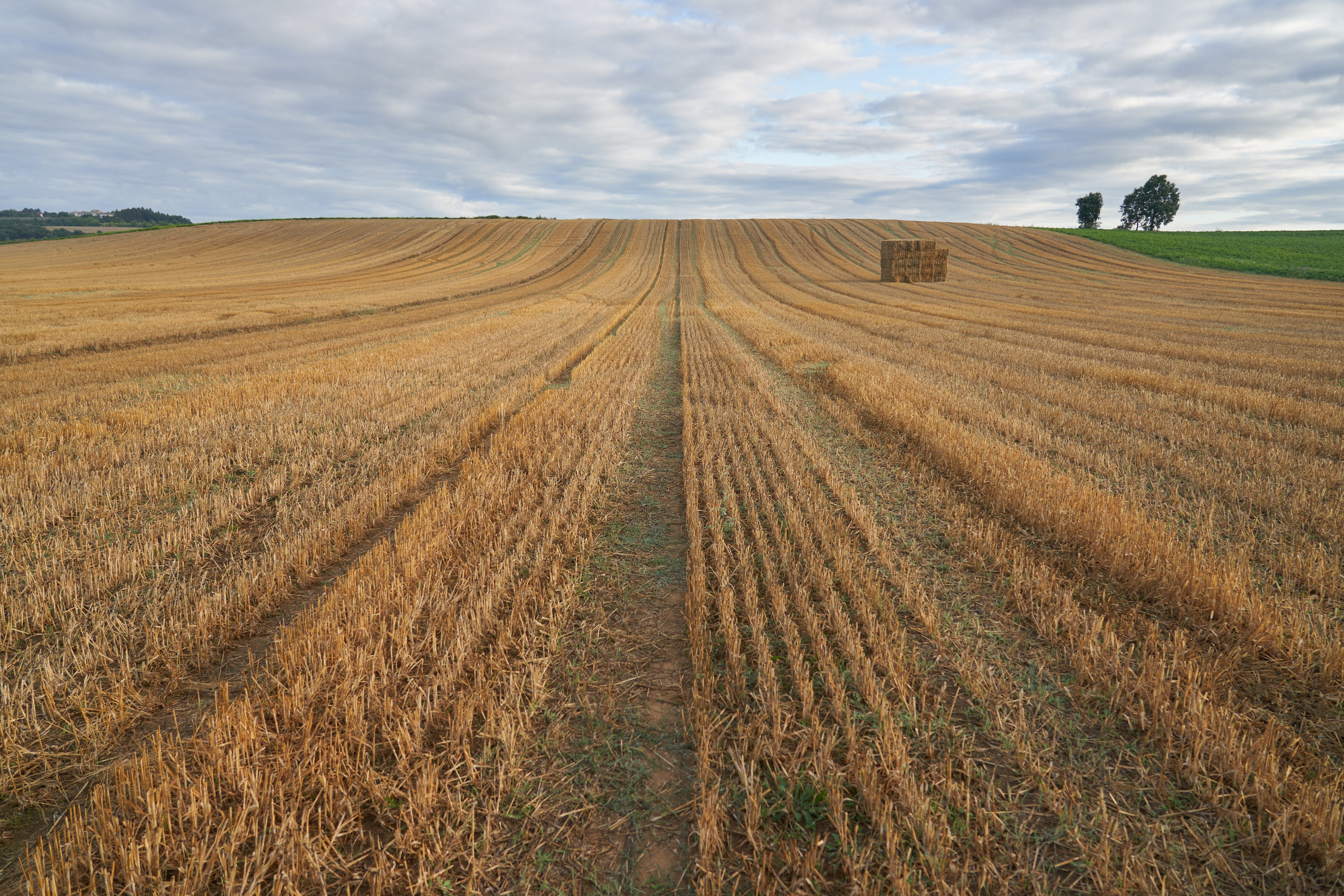 Bruselas pide más medios y financiación para ayudar al ámbito rural ante crisis climáticas