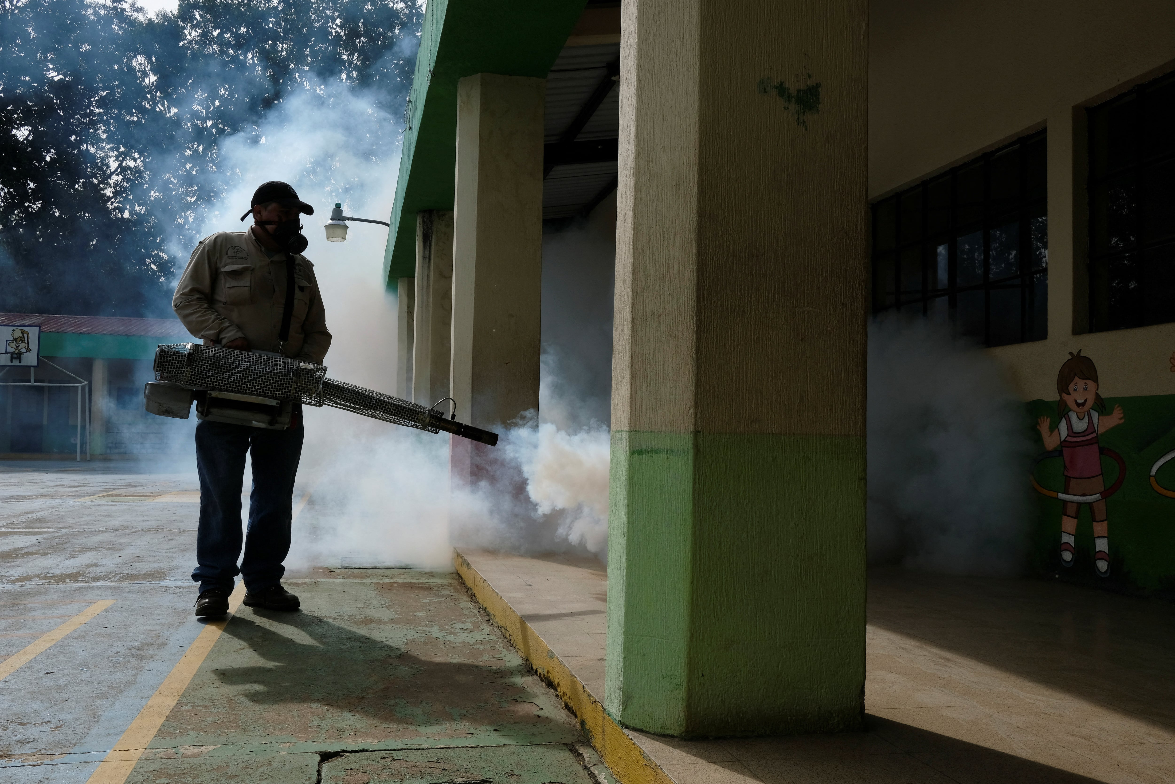 Las continuas fumigaciones han desarrollado las tres mutaciones en el insecto vector del dengue y otras enfermedades virales (REUTERS/Josue Decavele)