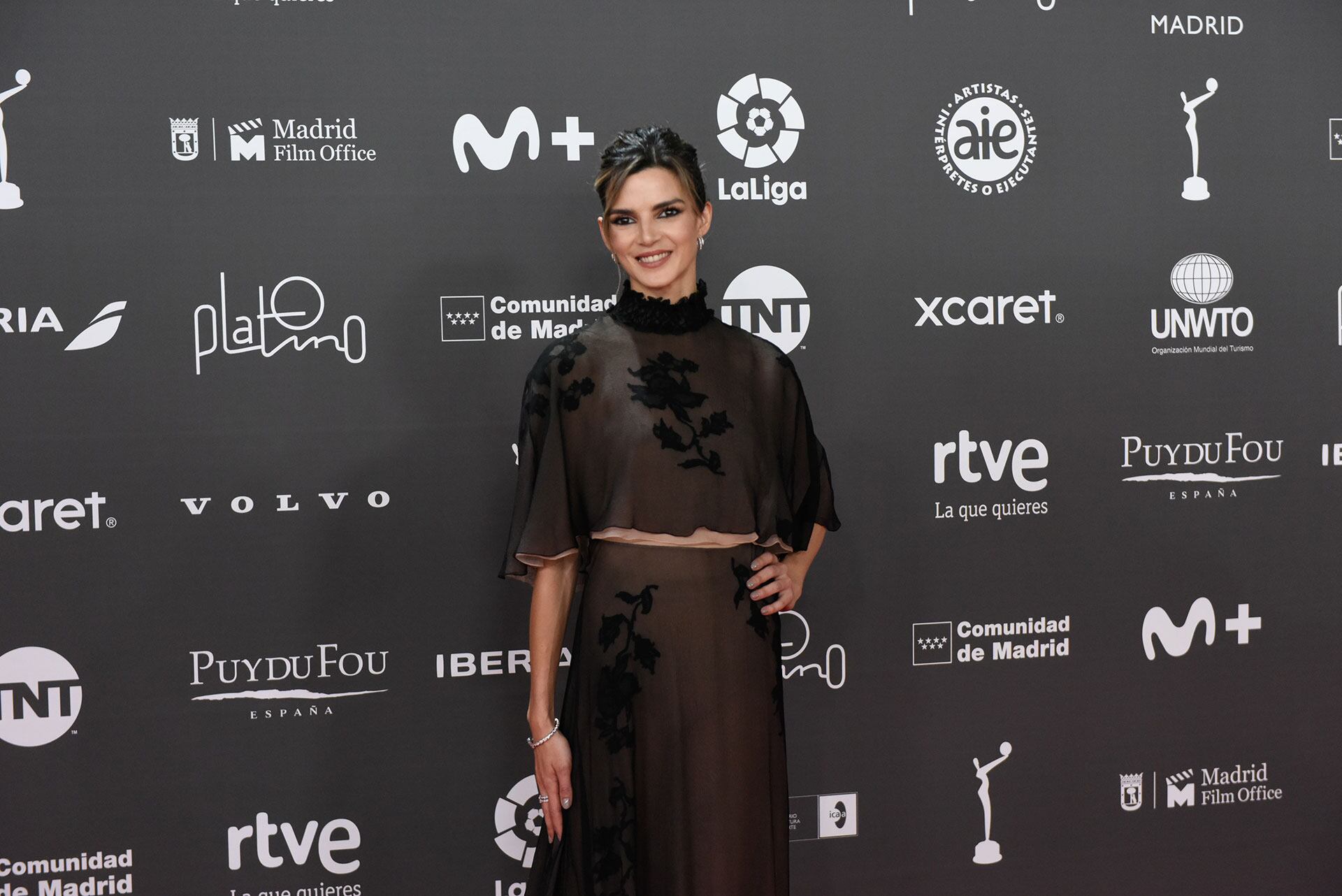 Alfombra Roja Premios Platino