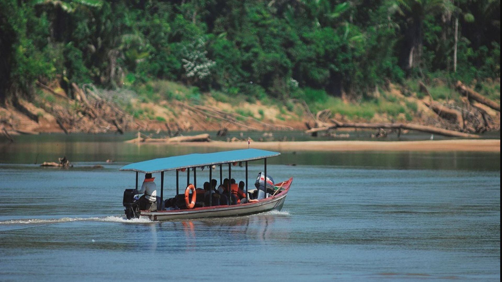 Parque Nacional Manu - Madre de Dios - Cusco - Perú - Historias - 28 mayo