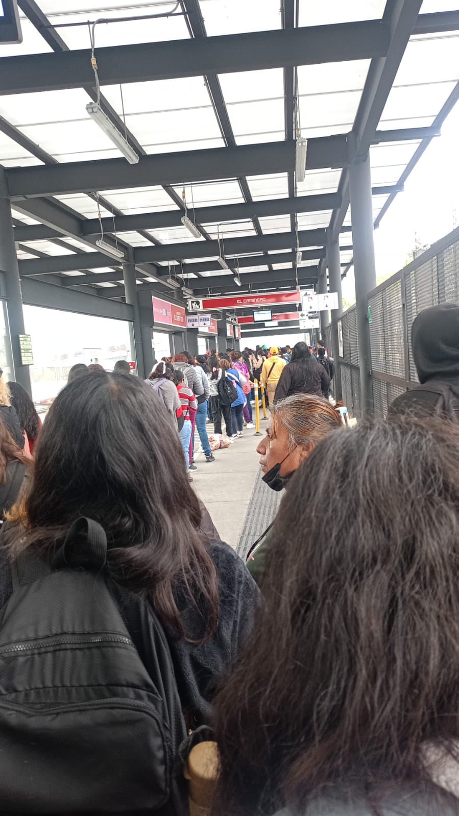 Avance en tiempo real de las diversas líneas de la red de transporte capitalino.