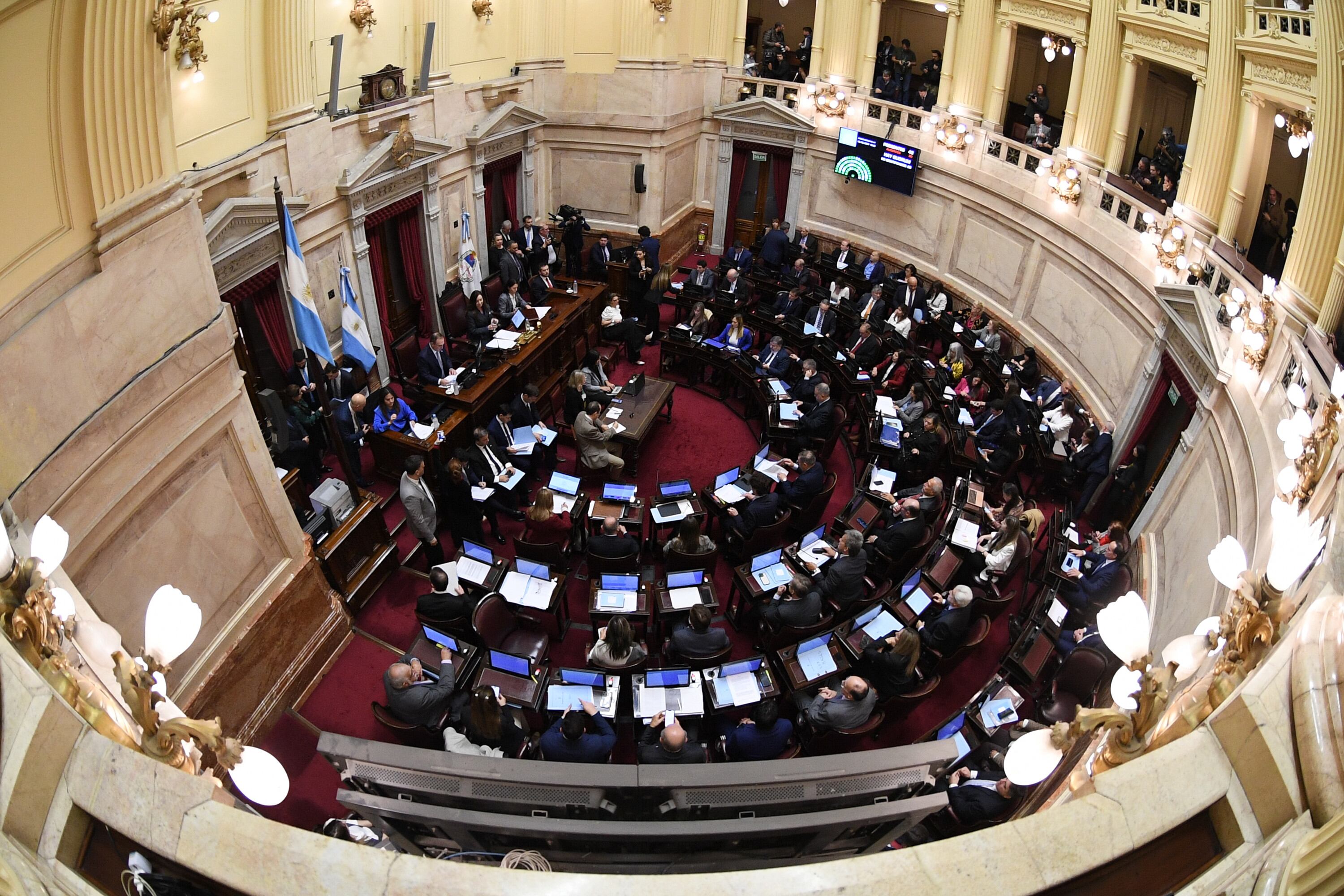 Debate Ley Bases en el Senado - 12.06.2024