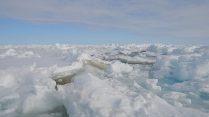 ¿El Ártico podría teñirse de verde por los efectos del calentamiento global?