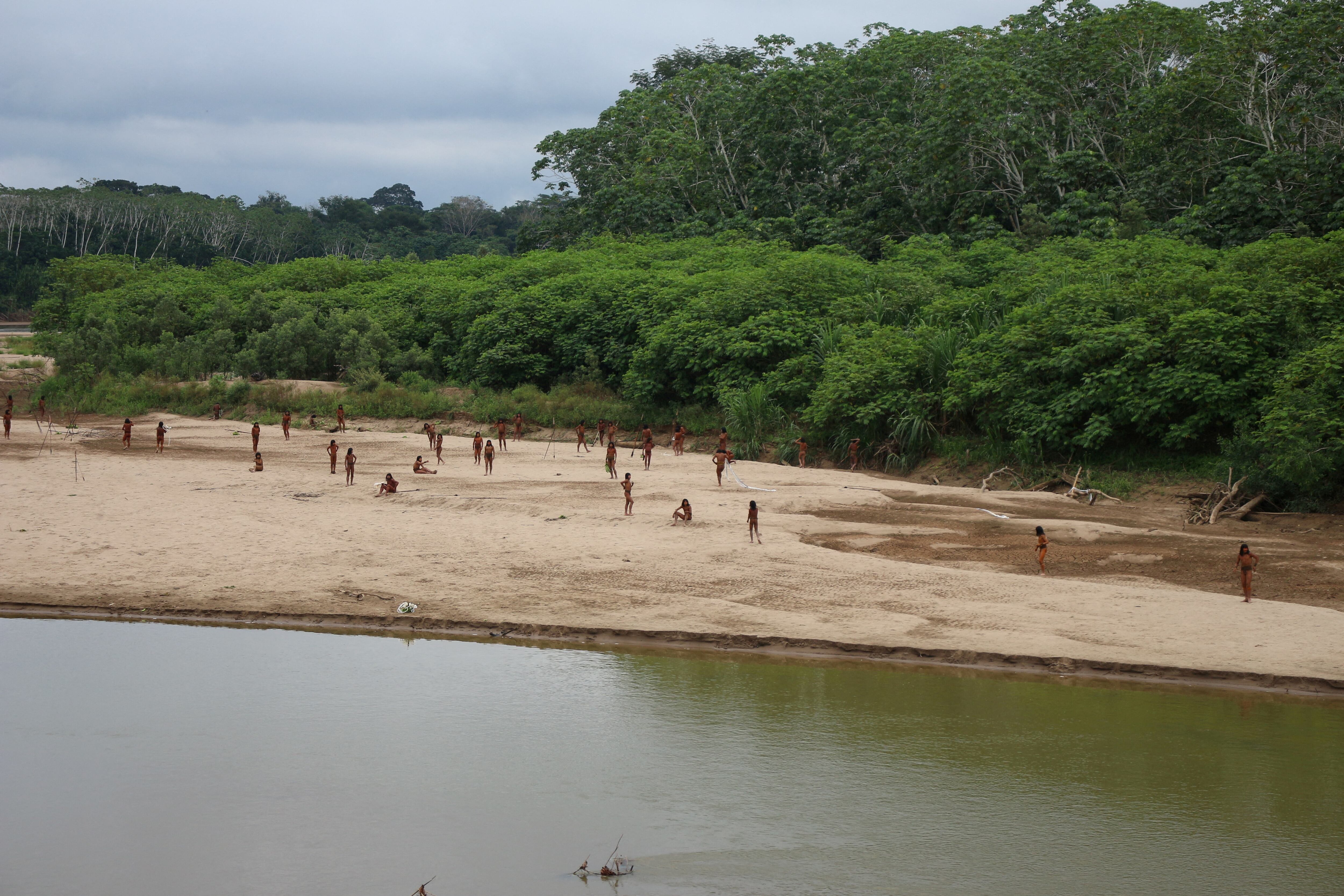 Members of the Mashco Piro Indigenous community, a reclusive tribe and one of the world's most withdrawn, gather on the banks of the Las Piedras river where they have been sighted coming out of the rainforest more frequently in search of food and moving away from the growing presence of loggers, in Monte Salvado, in the Madre de Dios province, Peru, June 27, 2024. Survival International/Handout via REUTERS ATTENTION EDITORS - THIS IMAGE HAS BEEN SUPPLIED BY A THIRD PARTY NO RESALES. NO ARCHIVES