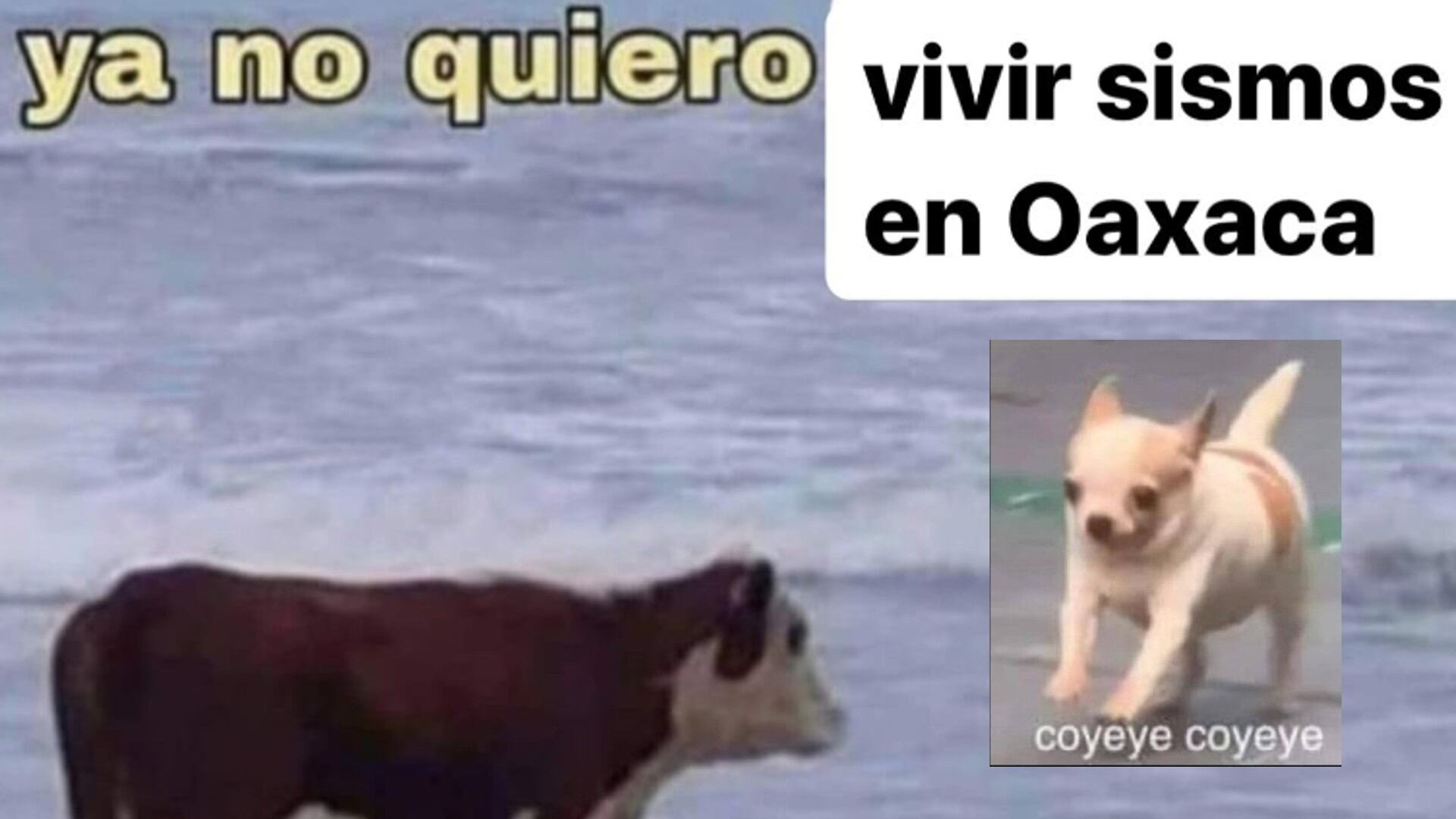 stos son los mejores MEMES que dejó el sismo de Oaxaca que espantó a algunos habitantes de CDMX