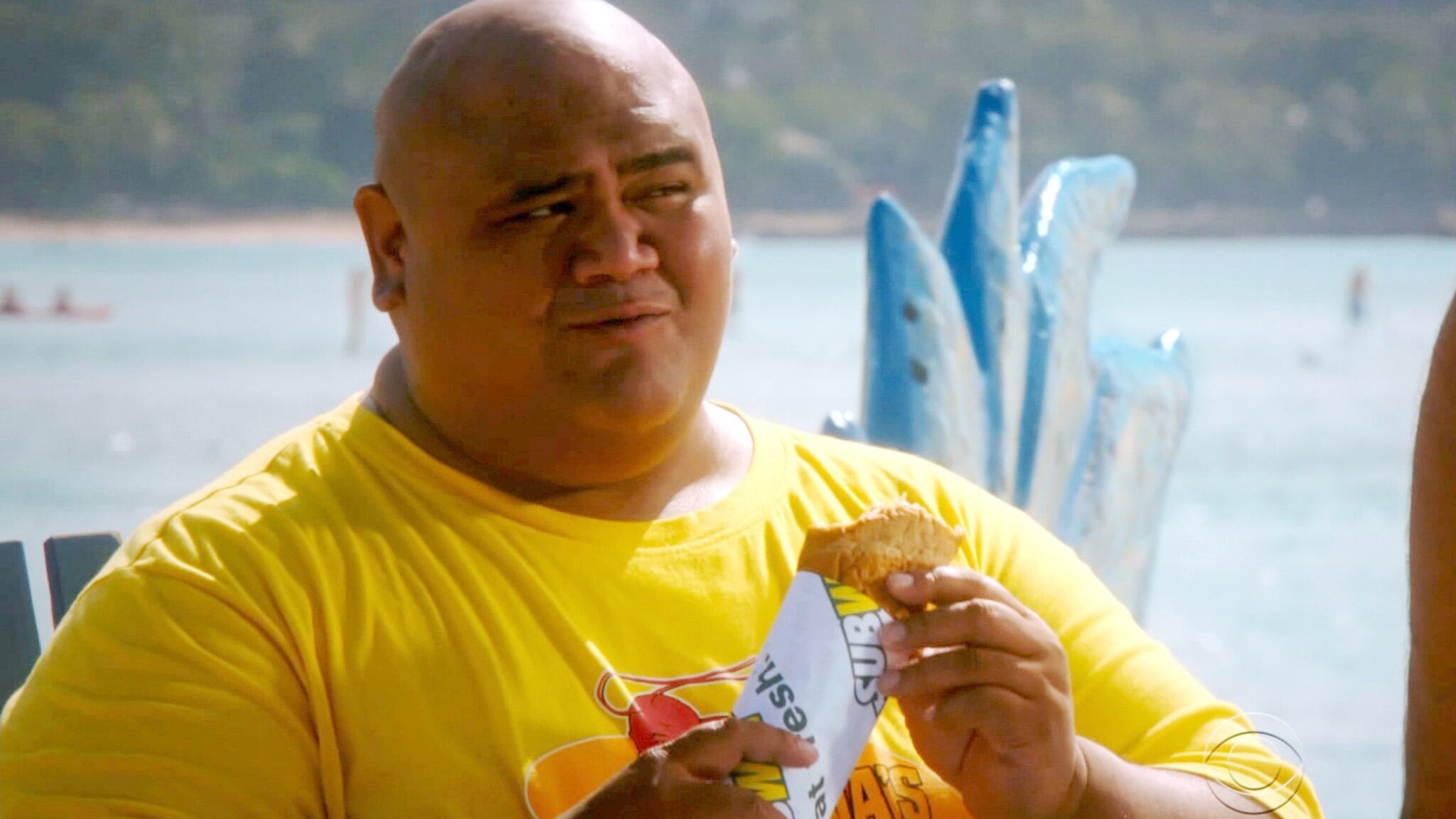 Hawaii Five-0 - Taylor Wily