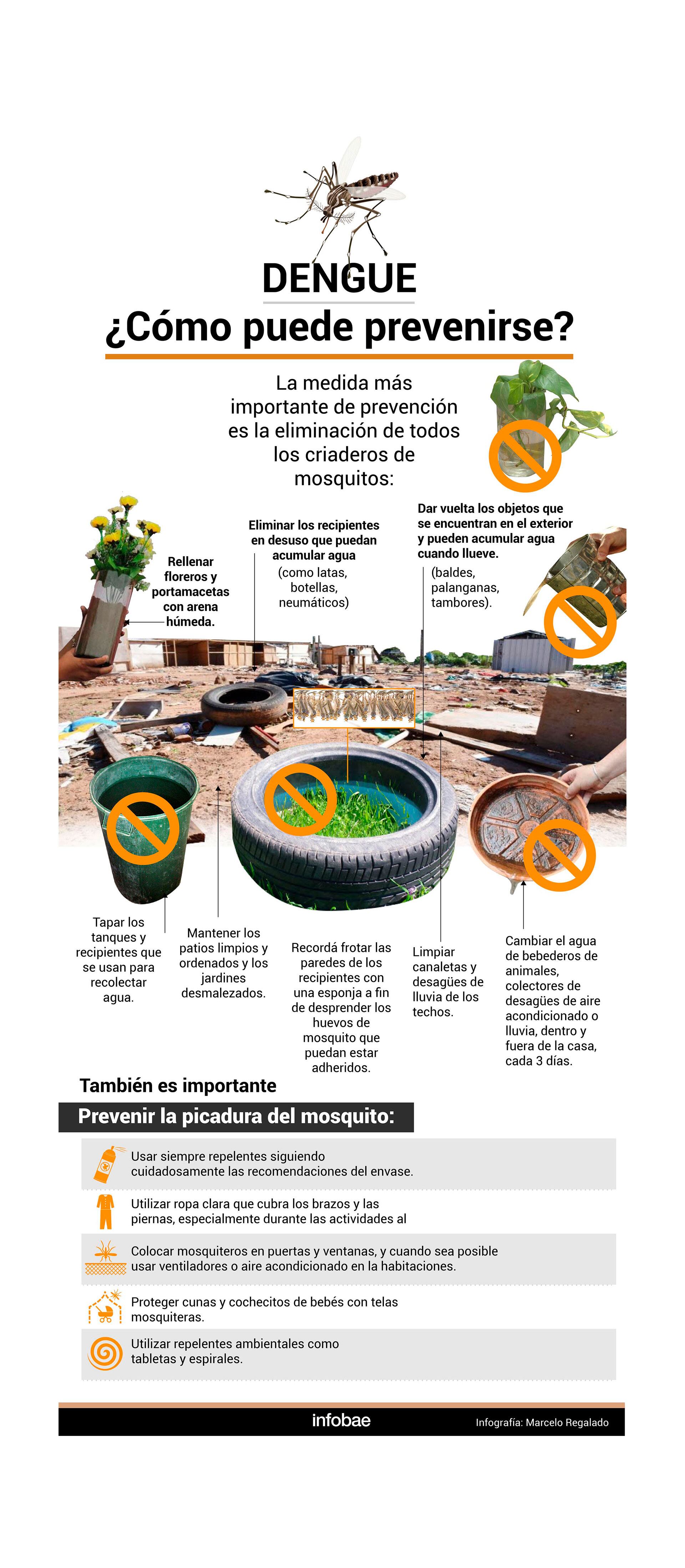 Prevención del dengue infografia