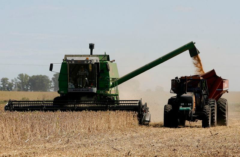 El campo tendría sin vender unas 60 millones de toneladas de producto, a la espera de mejores precios (REUTERS/Andres Stapff (ARGENTINA))