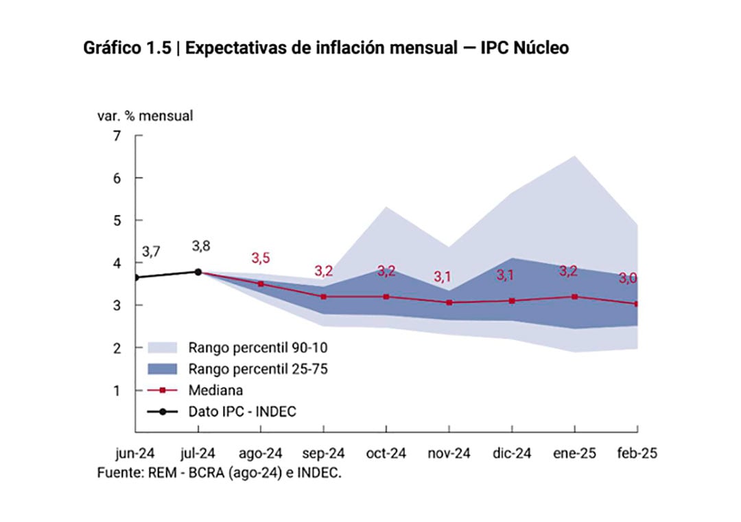 REM BCRA Agosto 2024