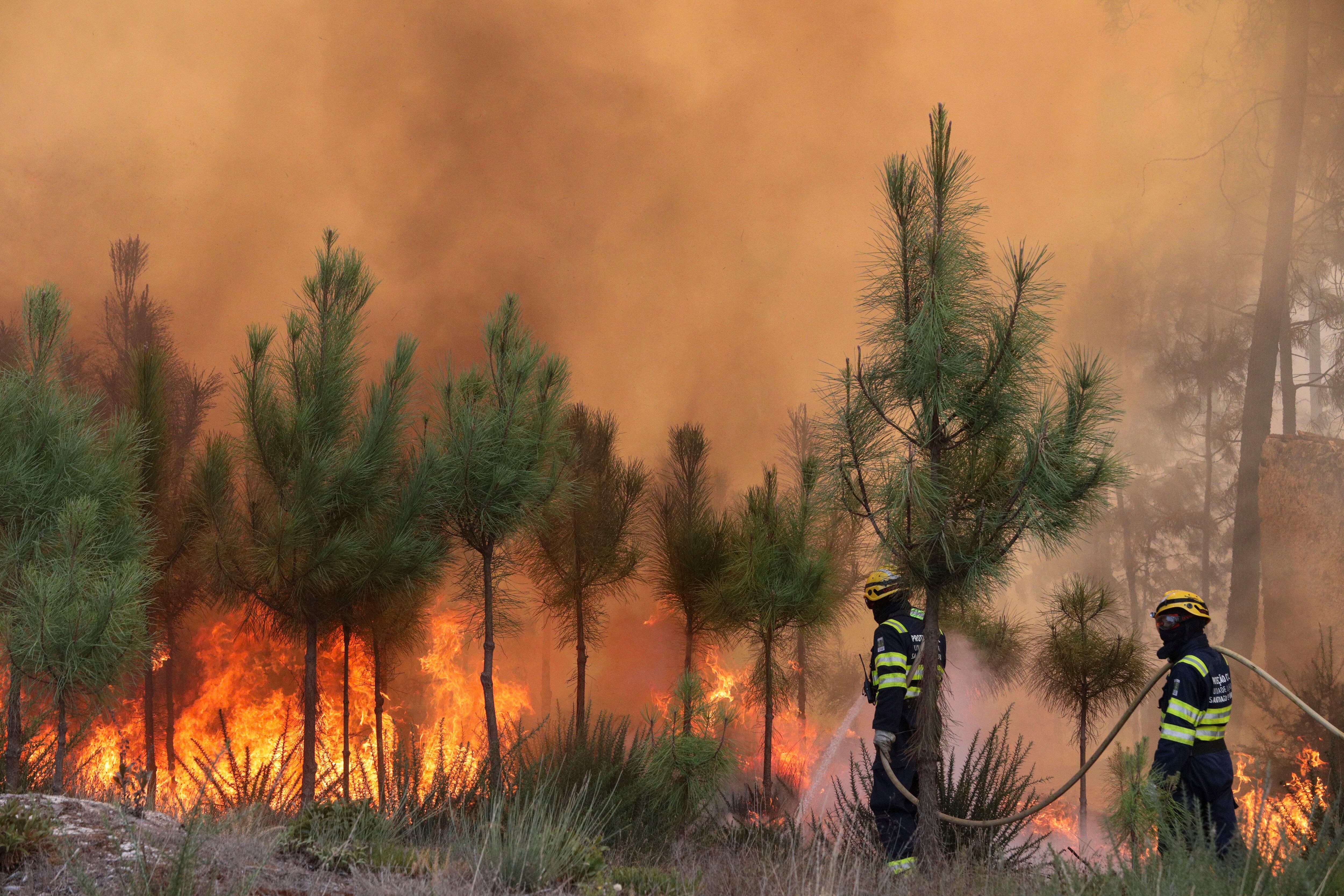 El aumento de incendios en diversas regiones incrementa los síntomas en las personas propensas a este tipo de cuadros (Efe)
