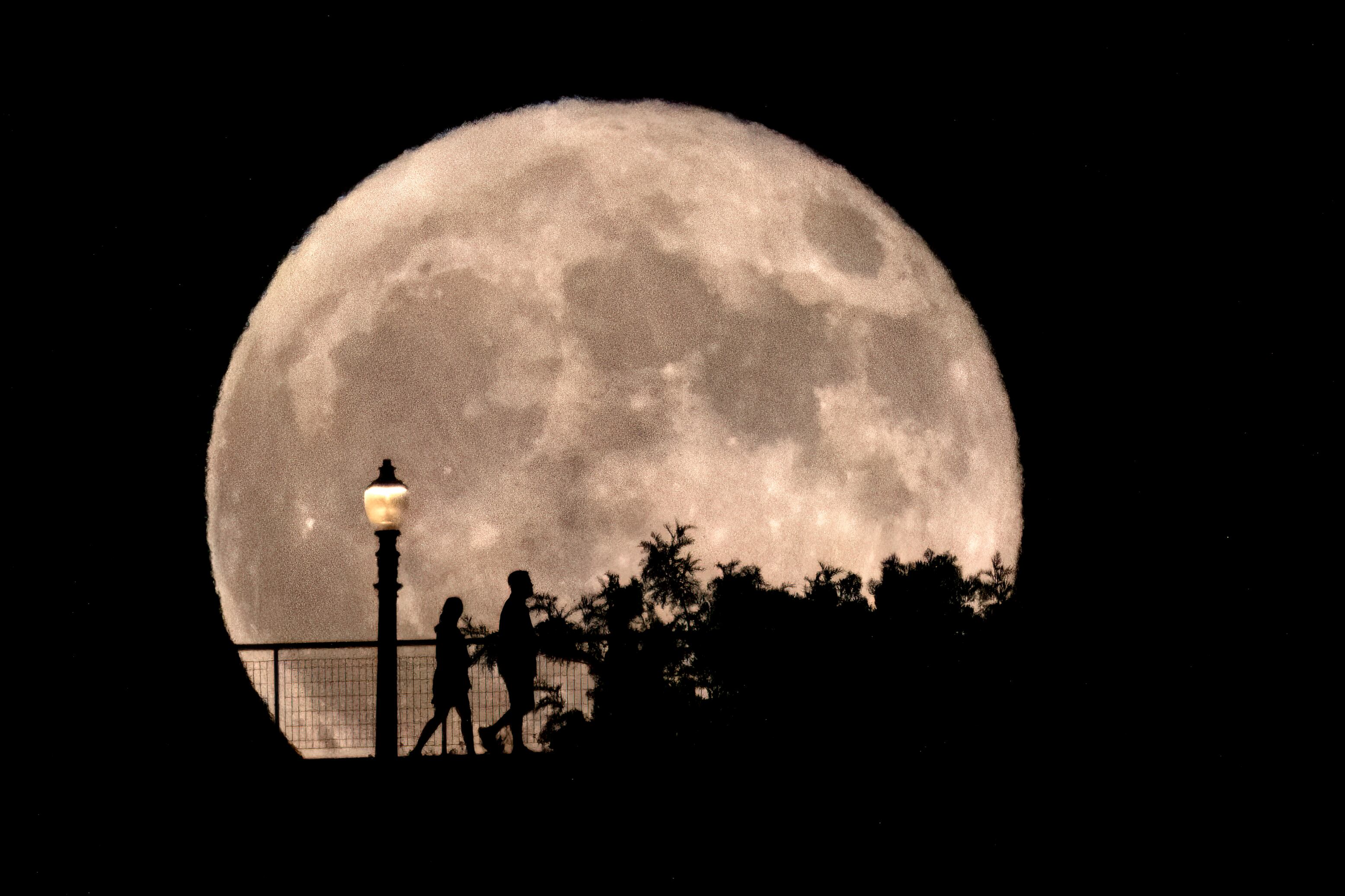 La Luna pasará por su trayecto más cercano a la tierra el 17 de octubre. (AP Foto/Richard Vogel)