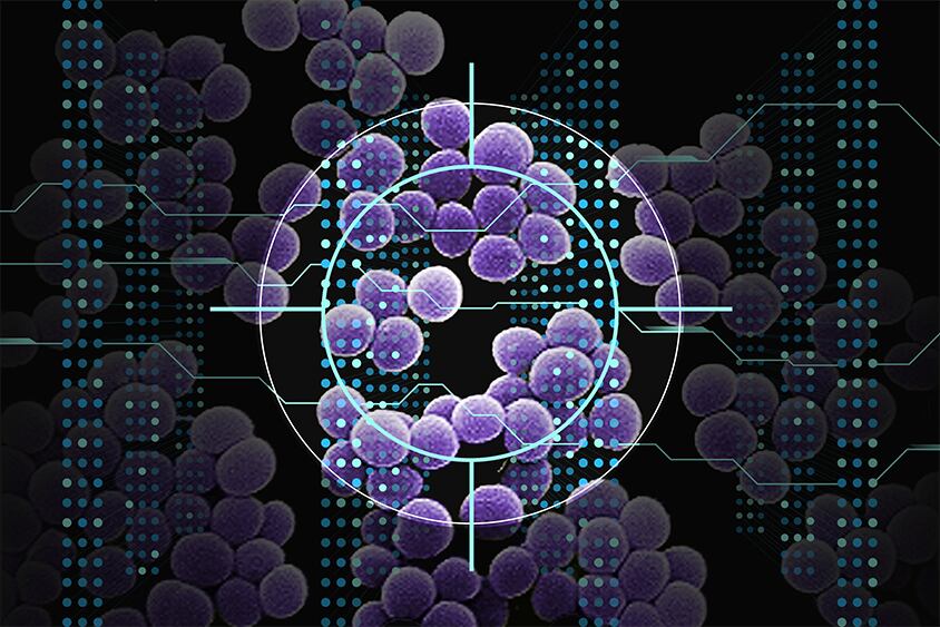 Utilizando un tipo de inteligencia artificial conocida como aprendizaje profundo, investigadores del MIT han descubierto una clase de compuestos que pueden matar una bacteria resistente a antibióticos, que causa más de 10.000 muertes en Estados Unidos cada año. - Crédito: Christine Daniloff, MIT; Janice Haney Carr, CDC 