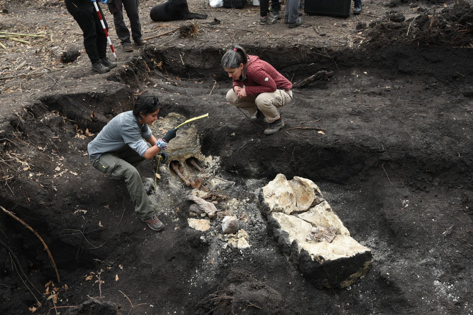 Forenses trabajan en el sitio donde se encontraron restos humanos en el Batallón No.14, este 1 de agosto de 2024 en Montevideo (Uruguay). EFE/ Sofía Torres
