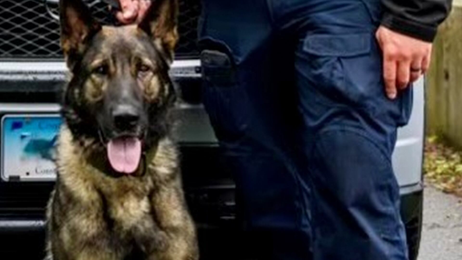 K9 Roso se retiró luego de que su manejador fuera asesinado durante el cumplimiento de su deber. (Facebook/Connecticut State Police)