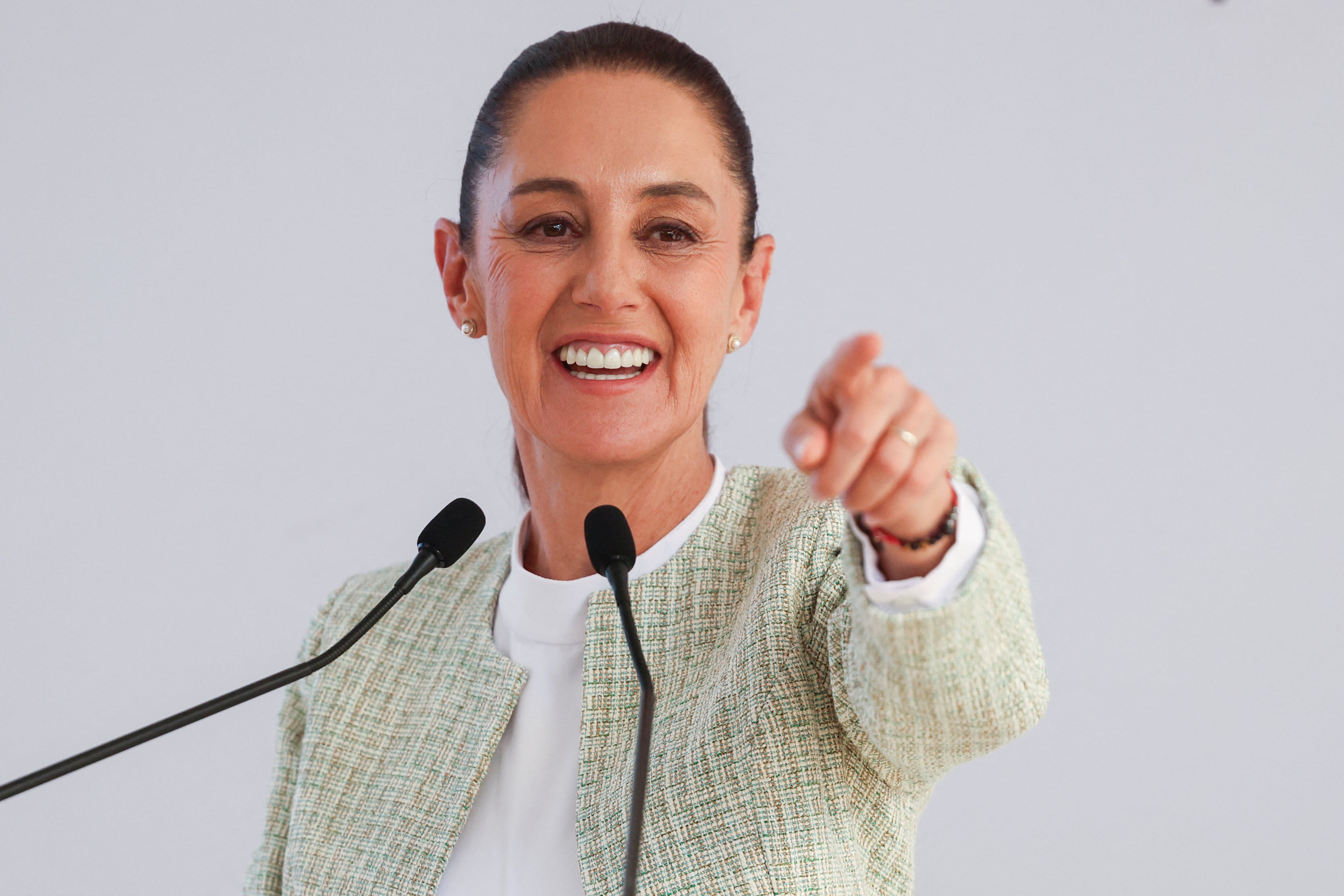 Mexico's President-elect Claudia Sheinbaum gestures during a press conference in Mexico City, Mexico August 26, 2024. REUTERS/Raquel Cunha