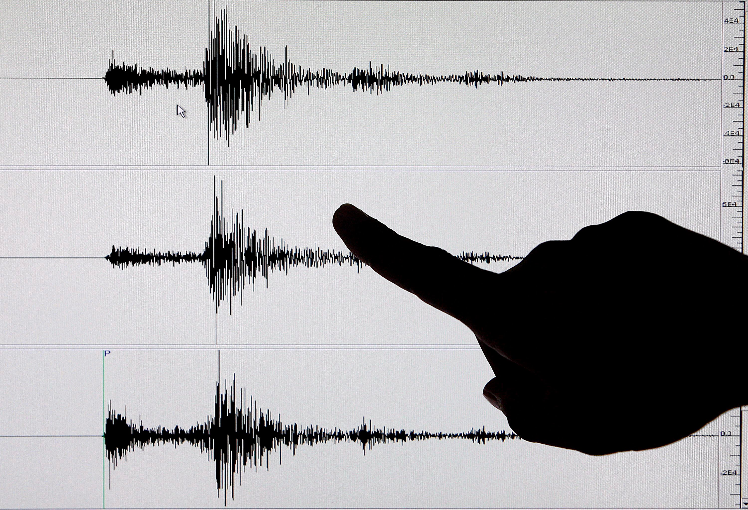 Imagen de archivo de un sismógrafo tras un terremoto. EPA/Alanah M. Torralba 