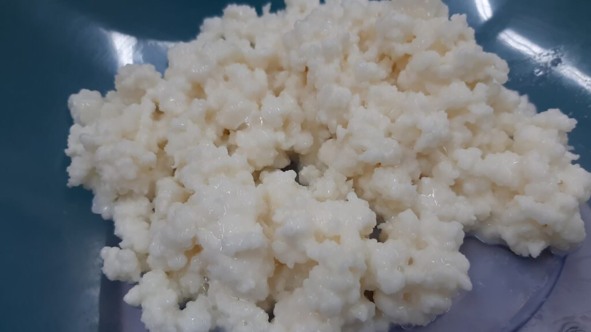 Kefir de agua