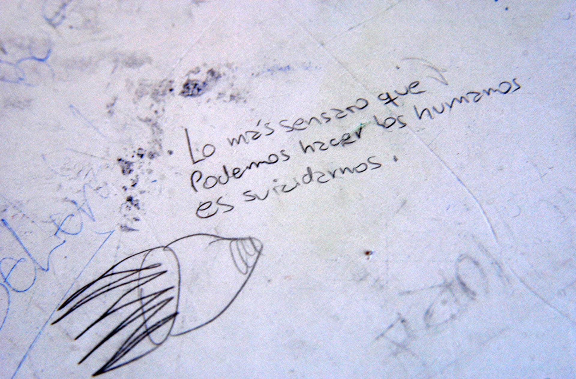 "Los más sensato que podemos hacer los humanos es suicidarnos", era una de las frases que Juniors escribió en los bancos de la escuela de Carmen de Patagones (Enrique Medina)