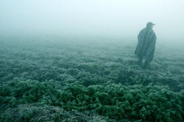 Mientras en el país se presenta el fenómeno de El Niño, en algunas regiones se padece por las heladas que afectan la agricultura - crédito Colprensa