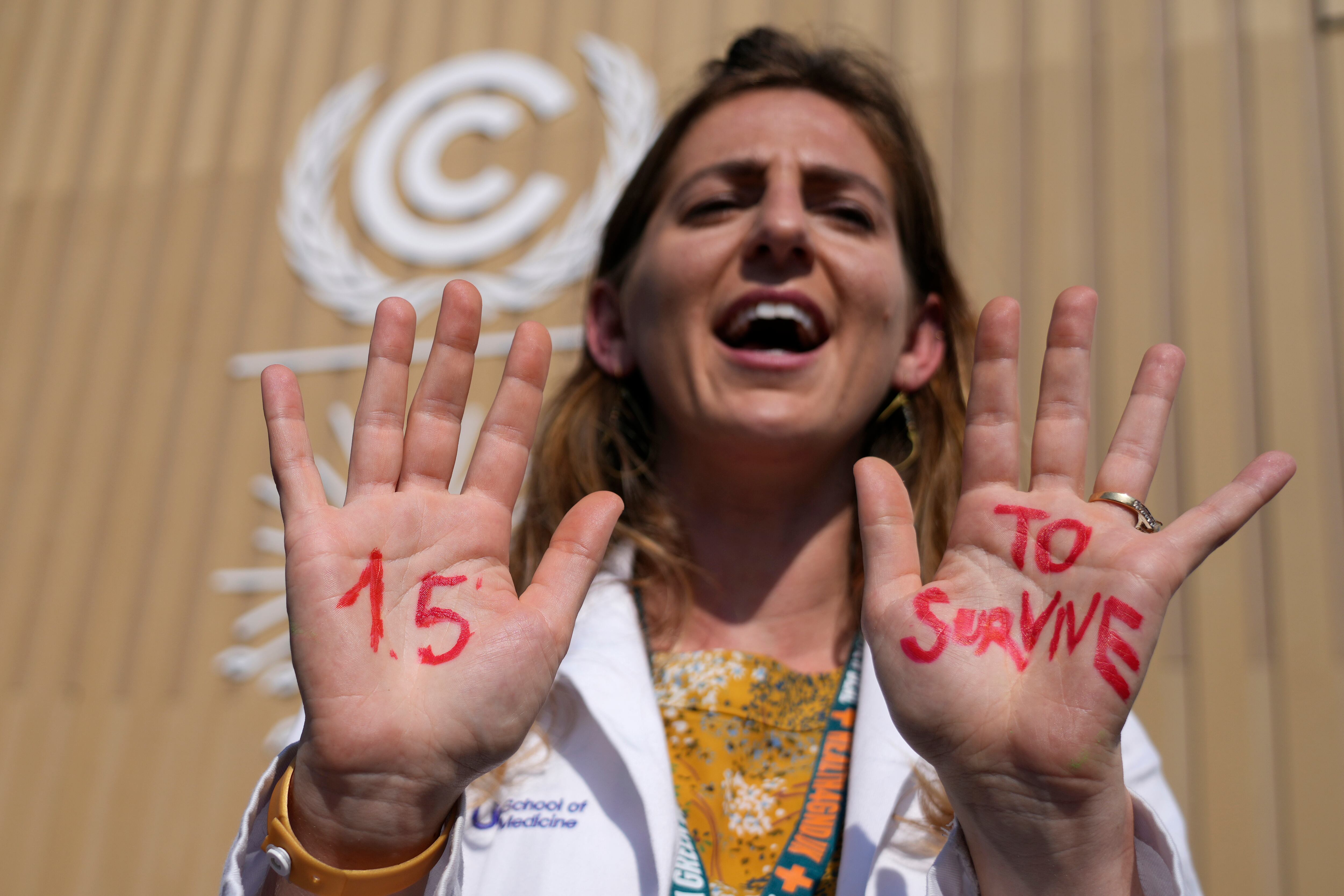 Una manifestante muestra las manos con el mensaje "1,5 grados para sobrevivir"., en referencia al objetivo de limitar el calentamiento global, en una protesta en la cumbre climática de Naciones Unidas COP28 en Sharm el Sheij, Egipto, (AP Foto/Peter Dejong, Archivo)