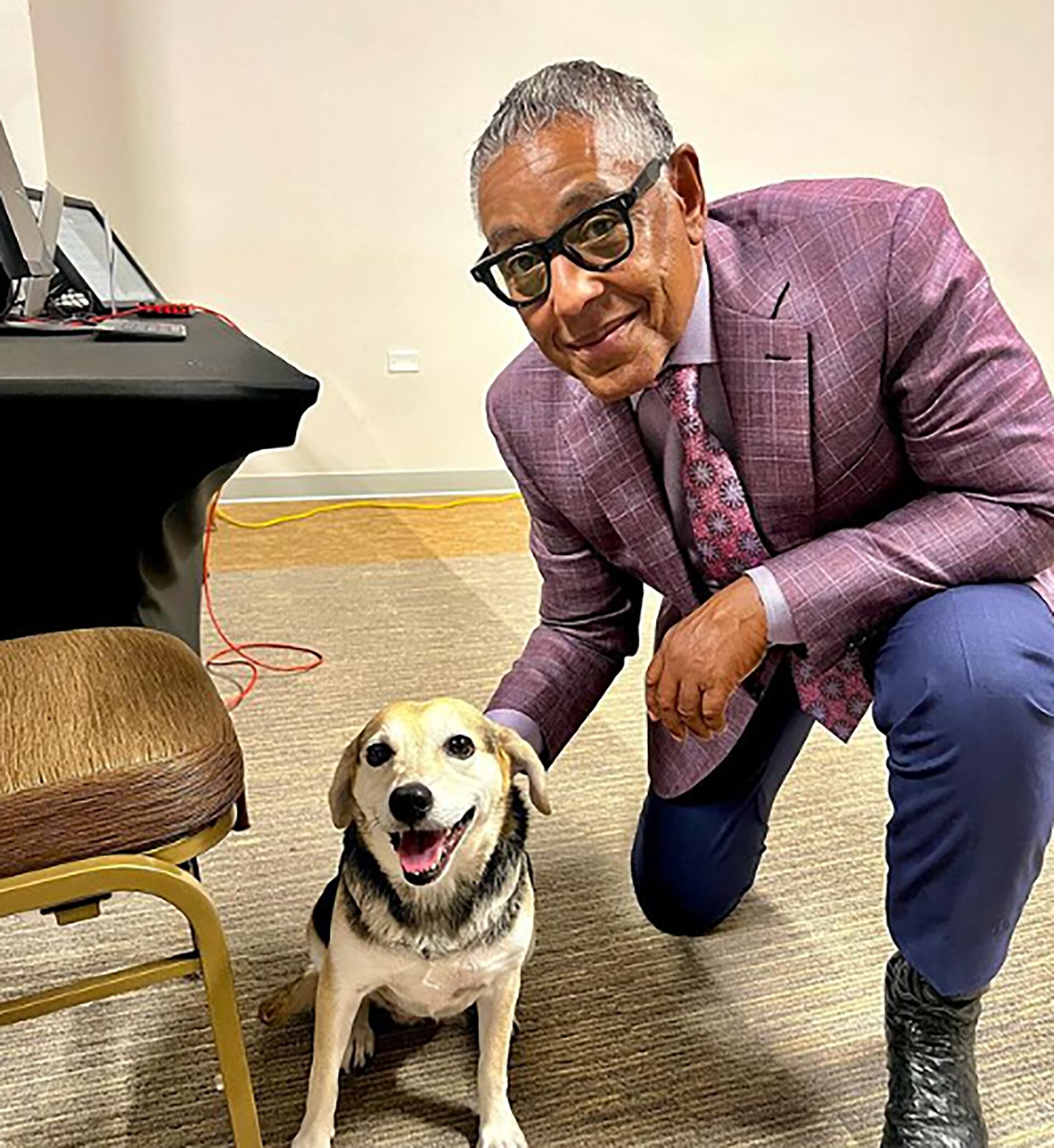 La mascota ha conocido a celebridades como el actor Giancarlo Esposito.  (Instagram/tinaquera)