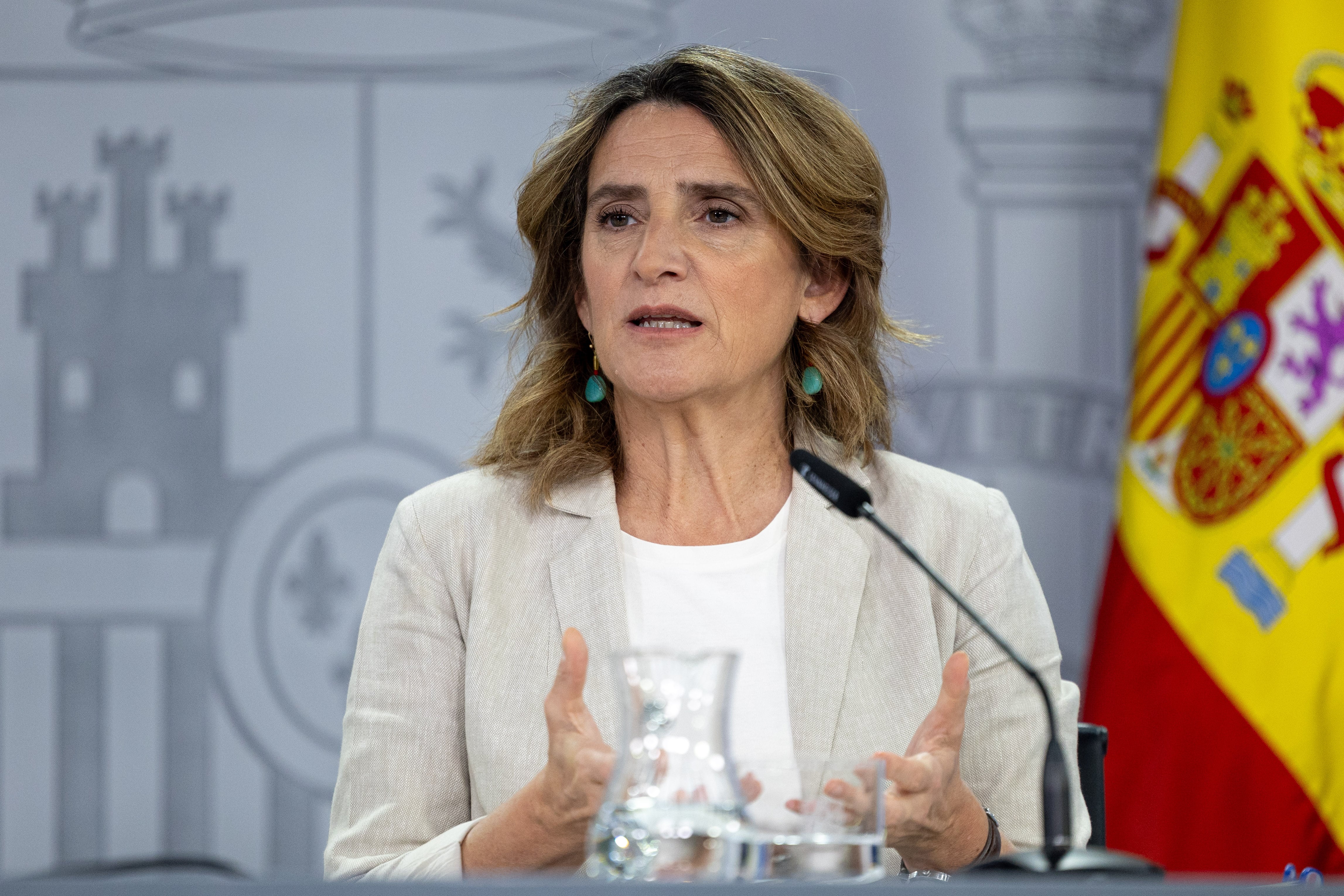 La hasta ahora vicepresidenta tercera y ministra para la Transición Ecológica y el Reto Demográfico, Teresa Ribera. (EFE/ Daniel González)
