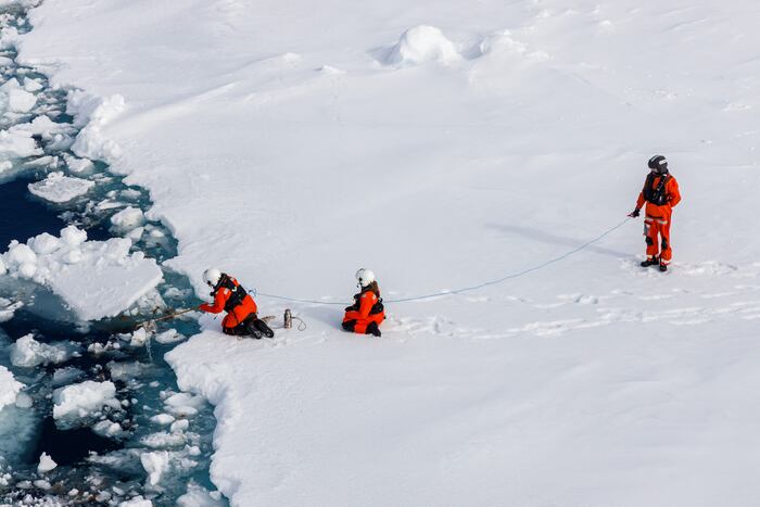 En una expedición Polarstern en el Ártico, los investigadores dirigidos por la bióloga Melanie Bergmann del Instituto Alfred Wegener están investigando cuánto microplástico hay en los agregados del alga helada Melosira arctica  CRÉDITO
Instituto Alfred-Wegener / Mario Hoppmann