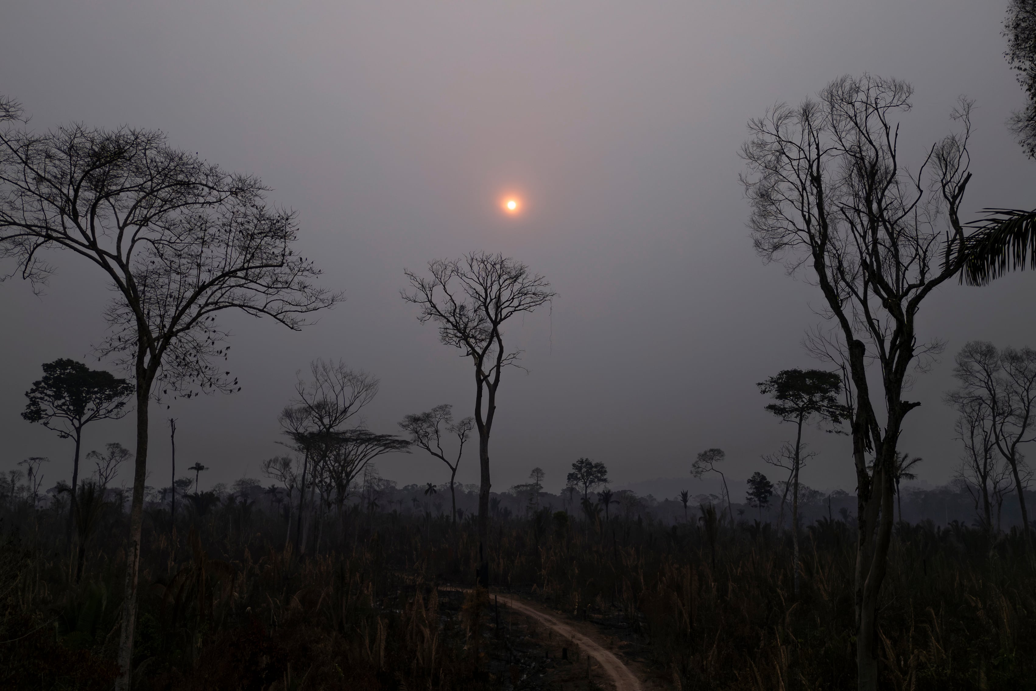 Brasil activa a Ejército, Marina y Aeronáutica para combatir los incendios en la Amazonía