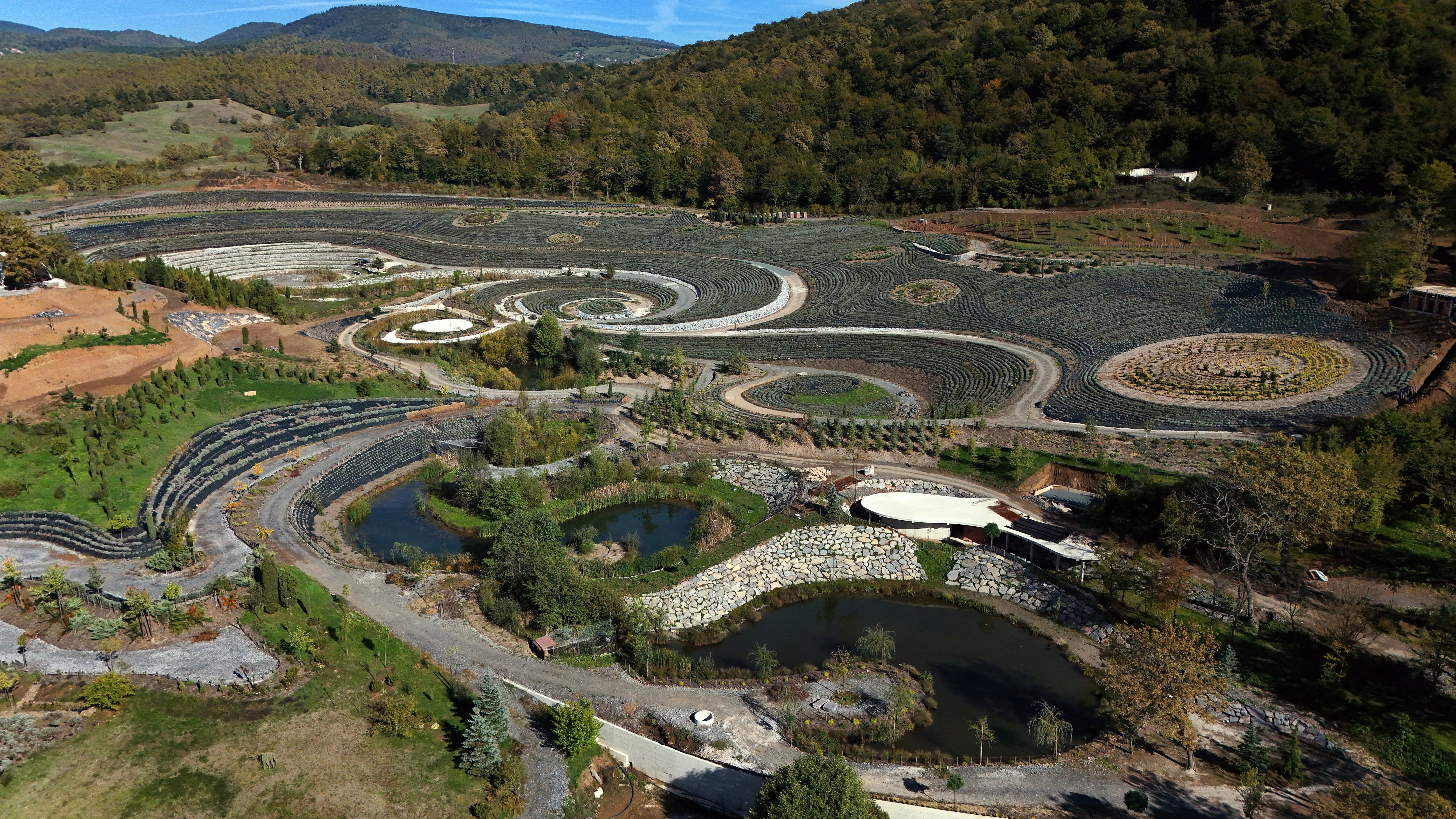 Parque Van Gogh Bosnia