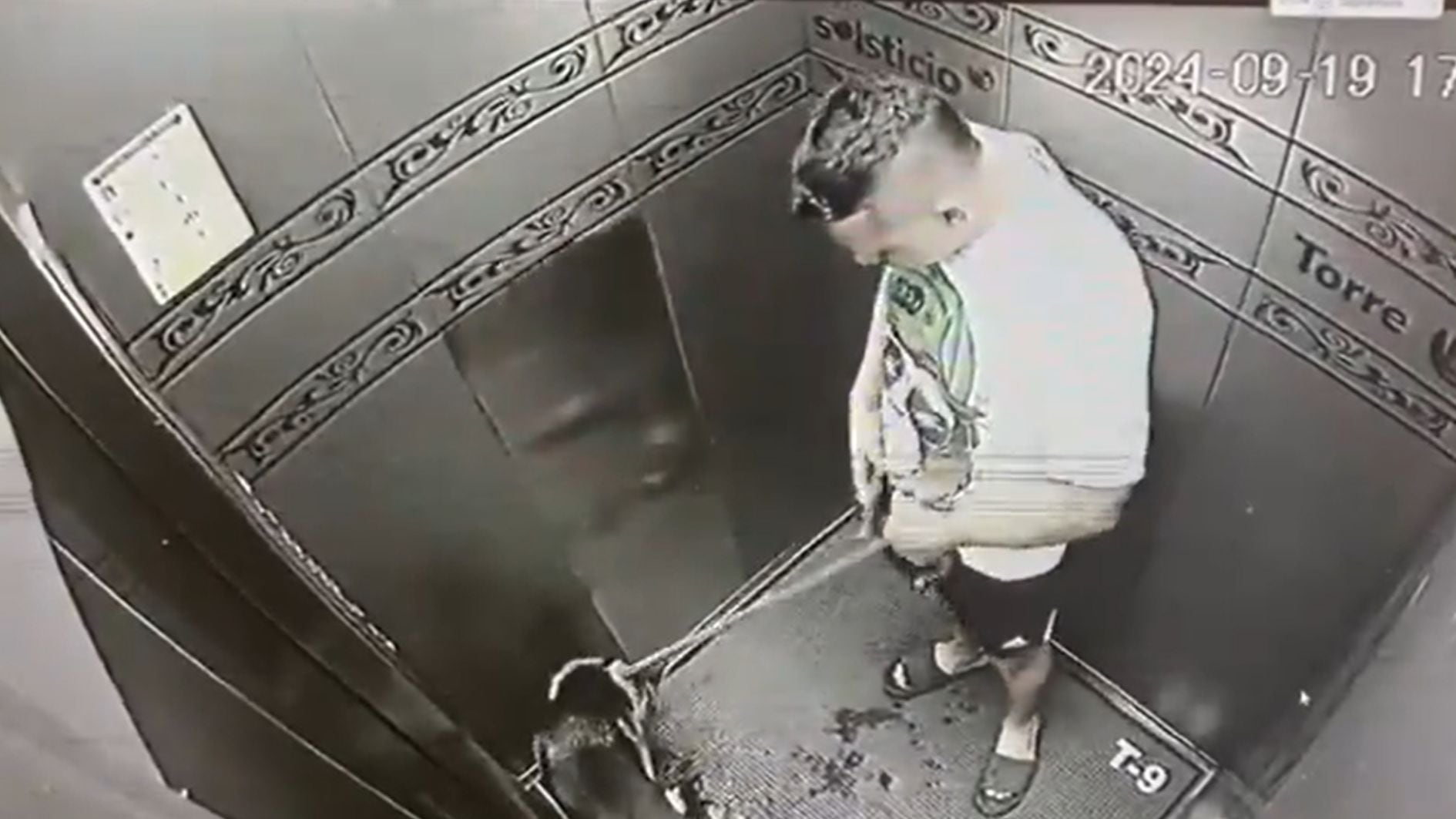 En video quedó violenta golpiza de un joven a su perro dentro de un ascensor en un conjunto residencial en Bogotá: piden su captura