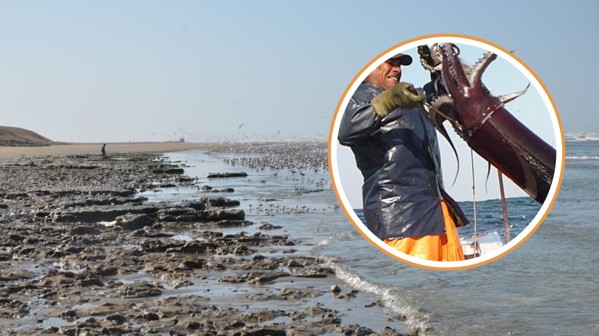 Pesca en Perú