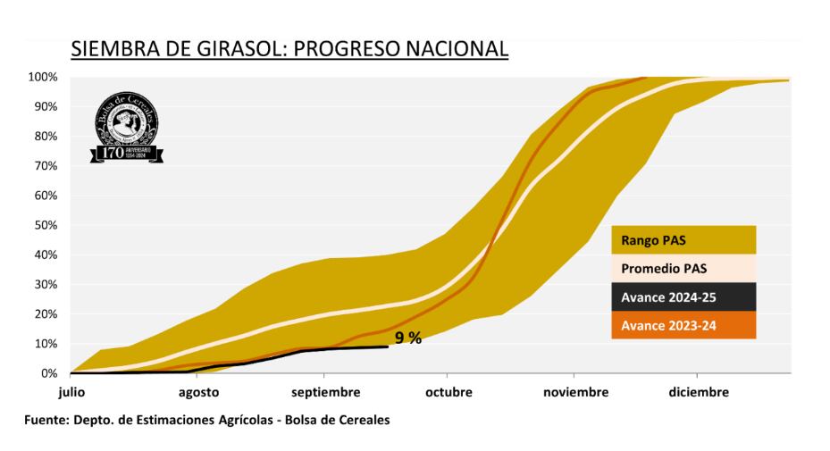 Girasol, progreso de siembra de la campaña agrícola 2024/25