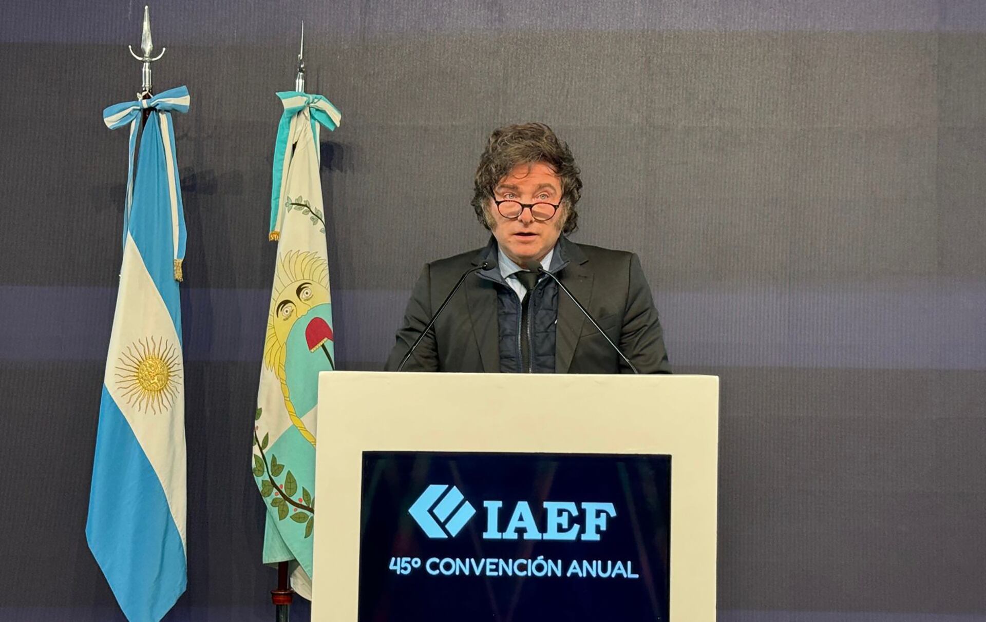 Javier Milei IAEF Mendoza