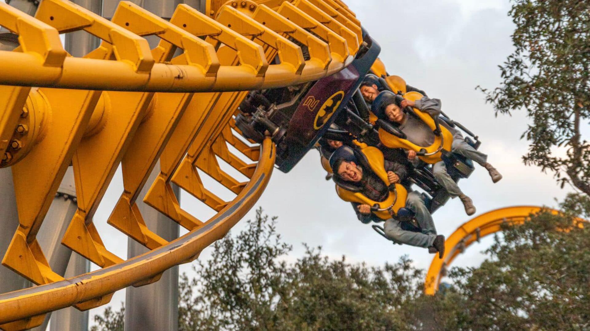 six flags méxico árboles tlalpan tala de árboles nuevo juego