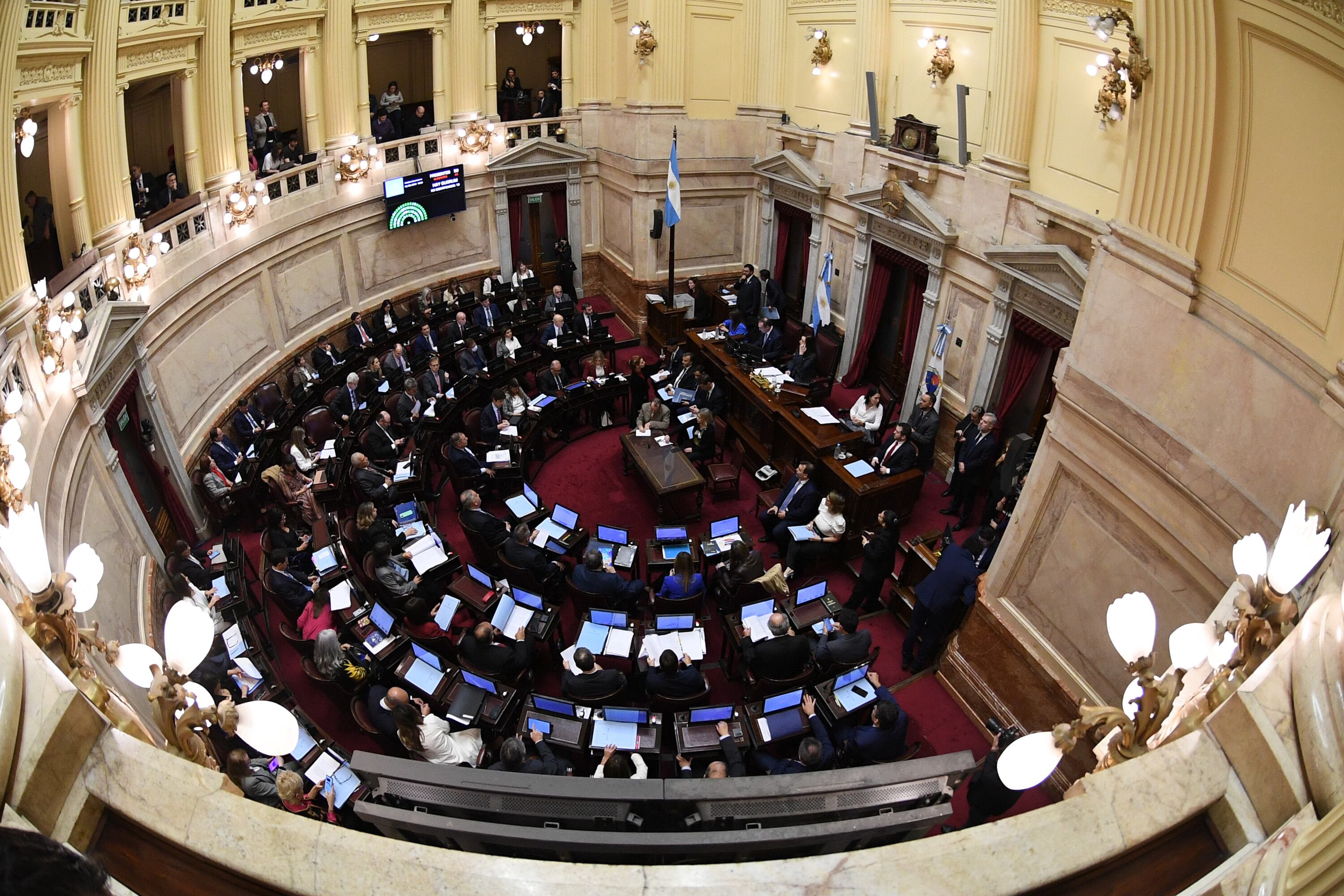 Debate Ley Bases en el Senado - 12.06.2024