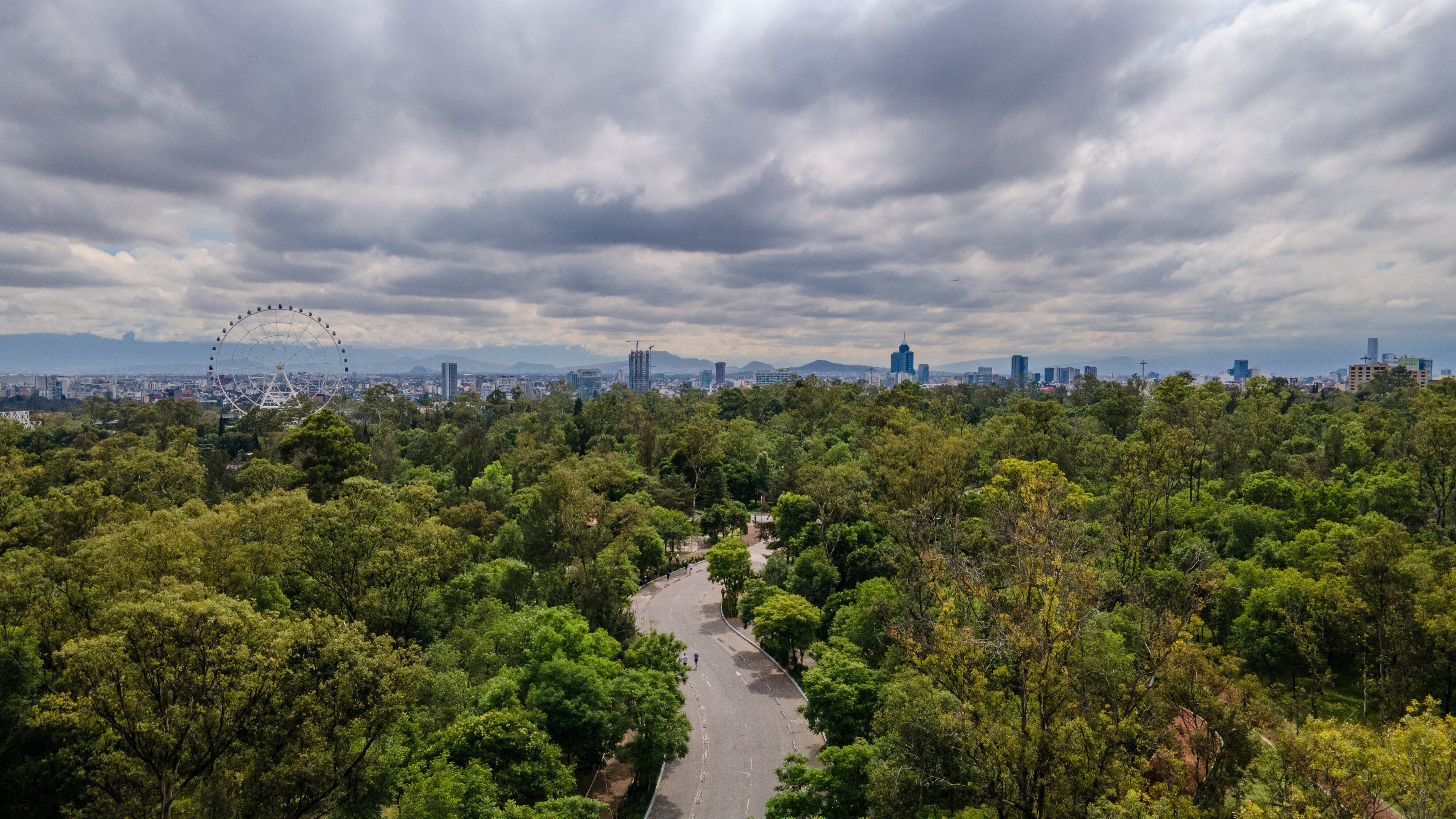 El Bosque de Chapultepec es considerado un pulmón de la Ciudad de México. (X/@ChapultepecCDMX)