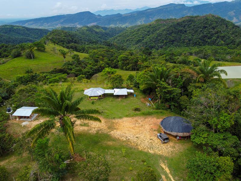 Los visitantes de la Reserva Ecoturística Las Palmas podrán conocer los tipos de palma que hay en la Amazonía y sus usos - crédito Alcaldía de Florencia/sitio web