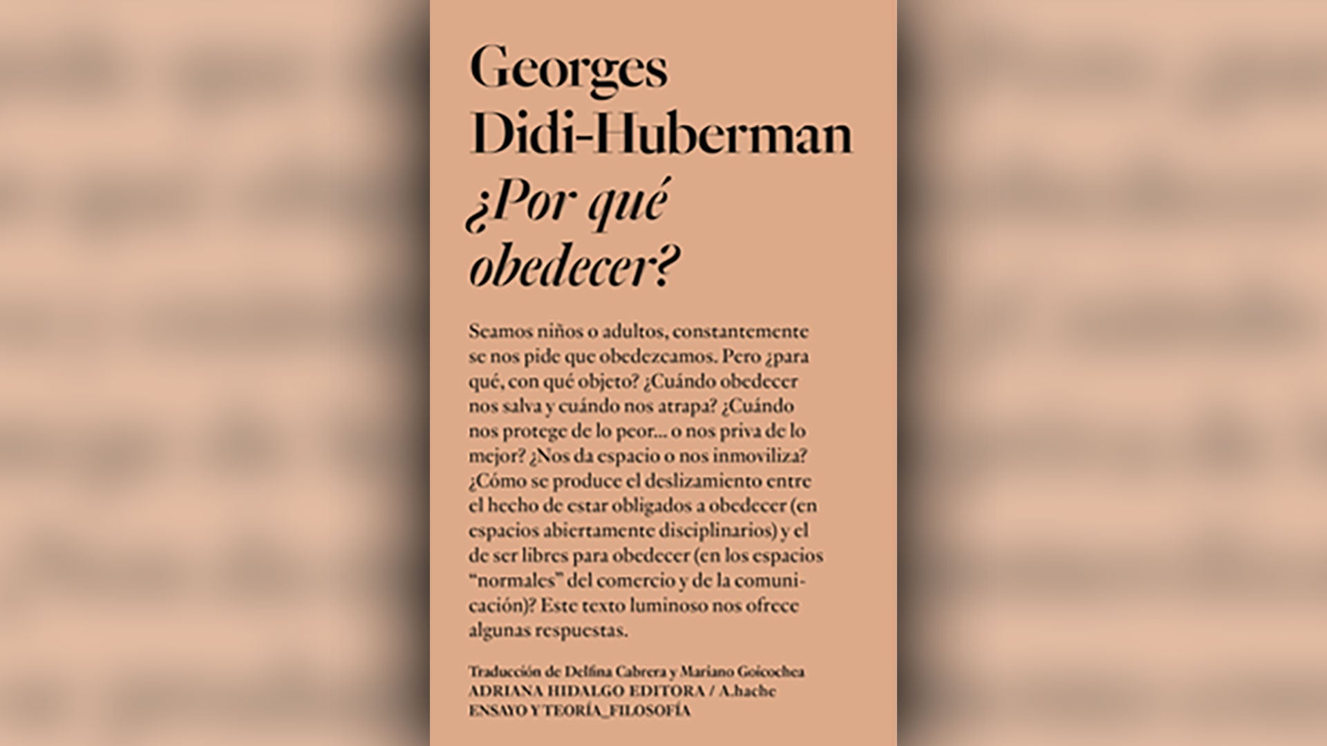 Georges Didi Huberman