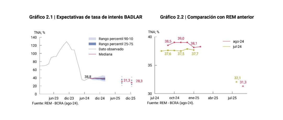 REM BCRA Agosto 2024