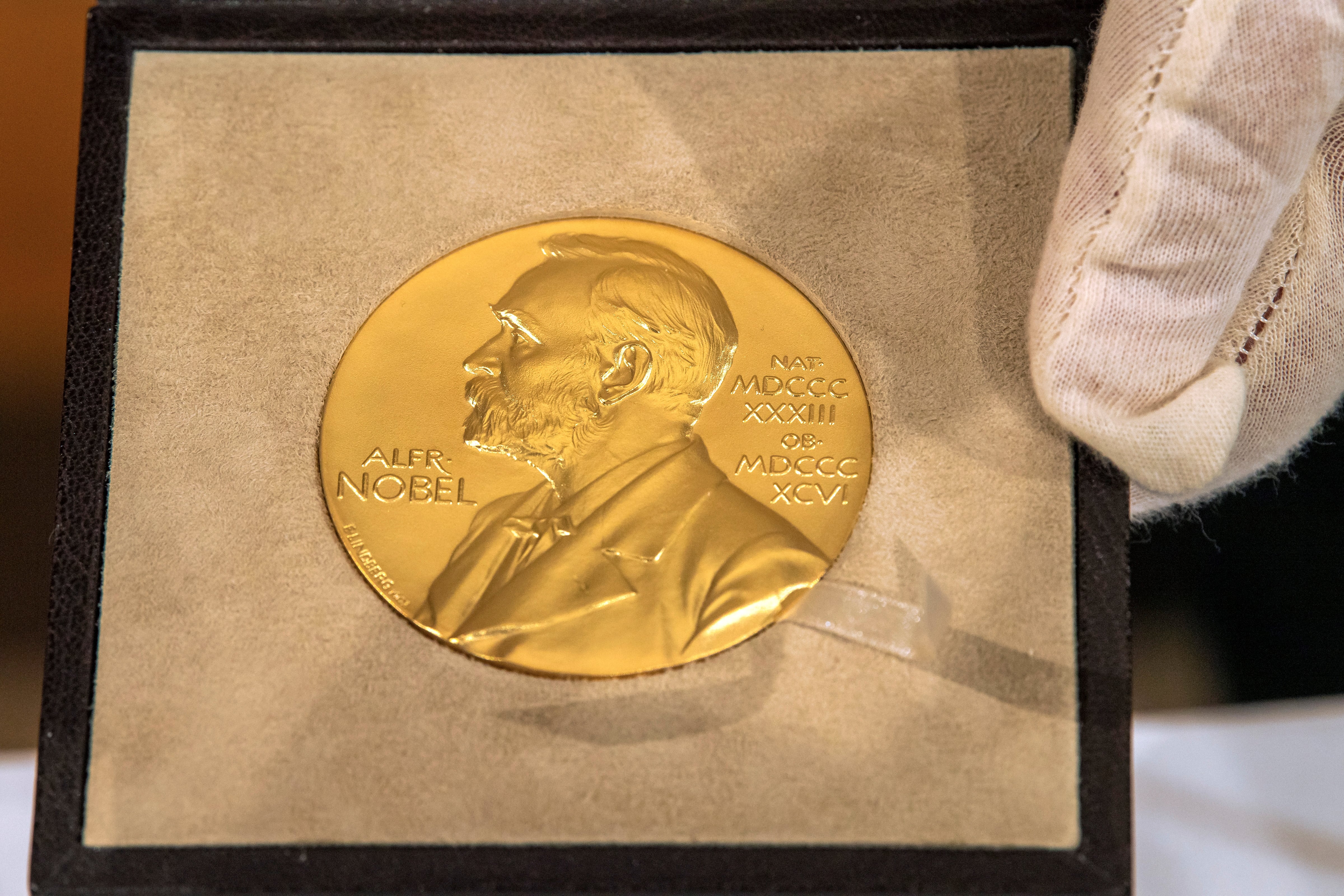 La medalla del Premio Nobel de Física. Peter Kneffel/Pool vía REUTERS