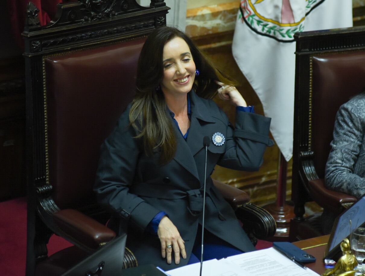 Debate Ley Bases en el Senado - 12.06.2024