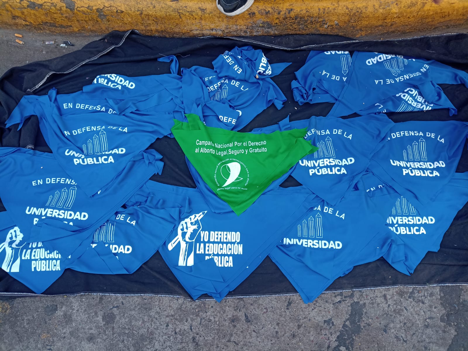 Los pañuelos azules, en defensa de la universidad pública